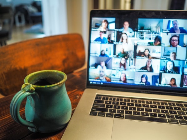 Remote online interpretation via video conference call